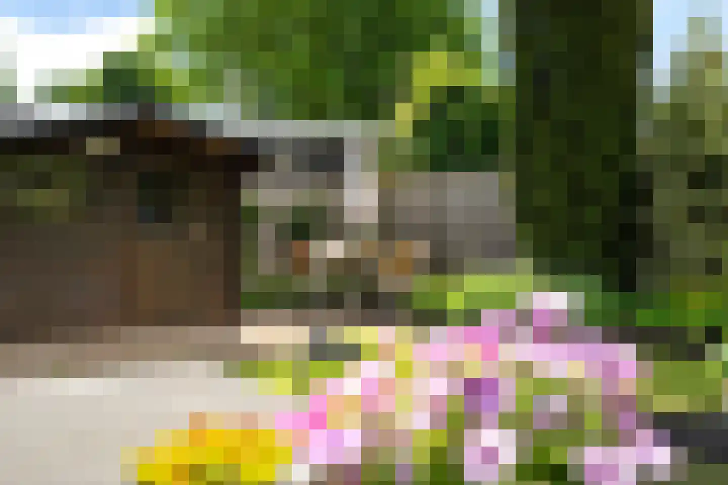 Solckamastins 12 Leeuwarden thumbnail 22