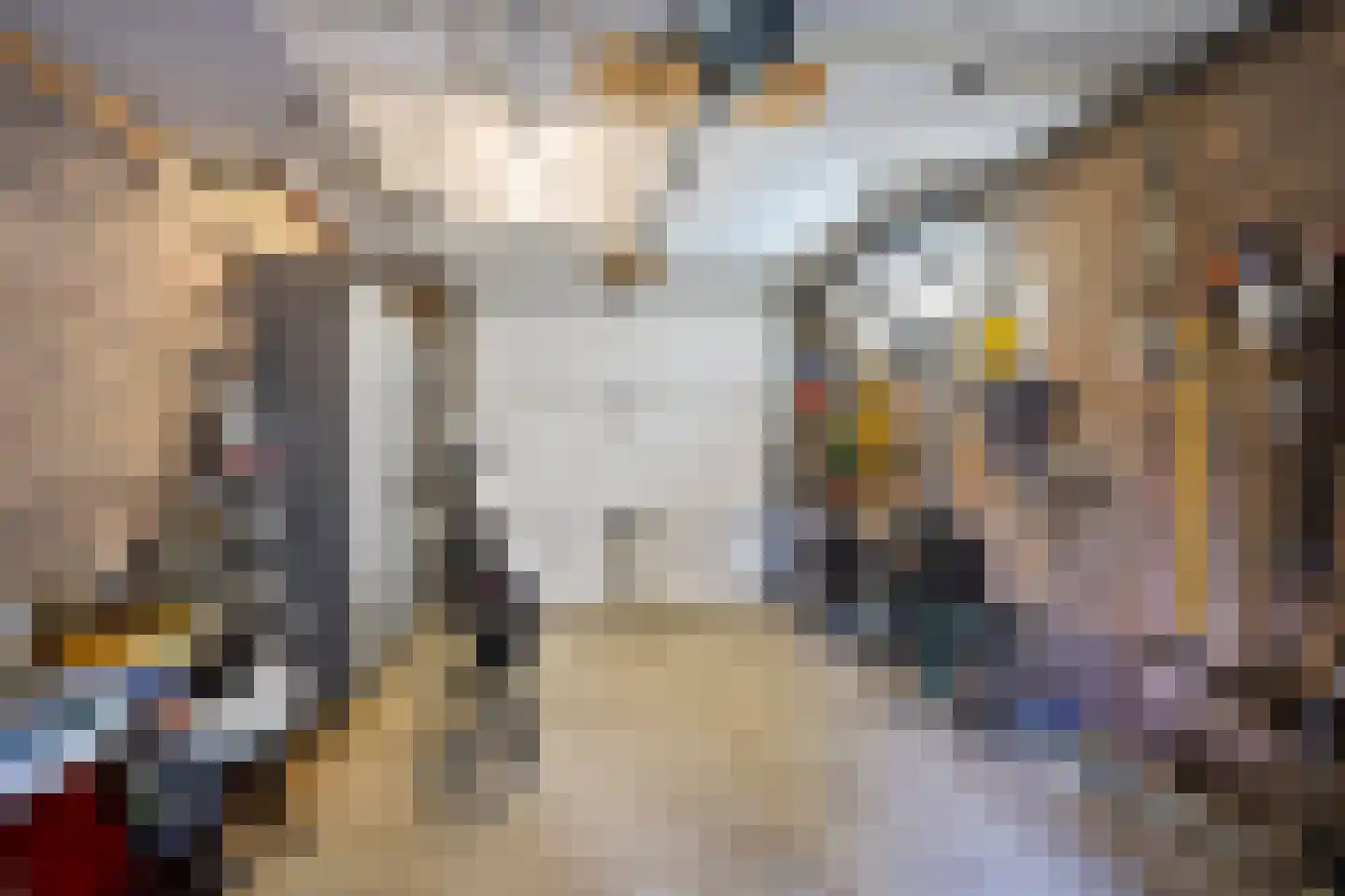 Solckamastins 12 Leeuwarden thumbnail 24