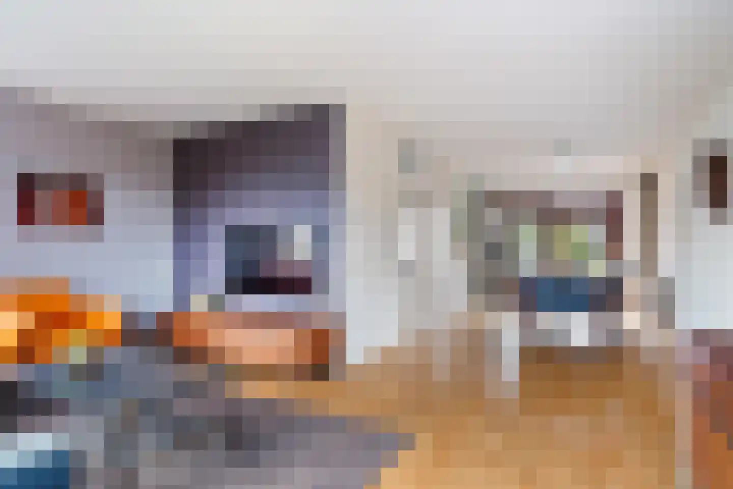 Solckamastins 12 Leeuwarden thumbnail 5