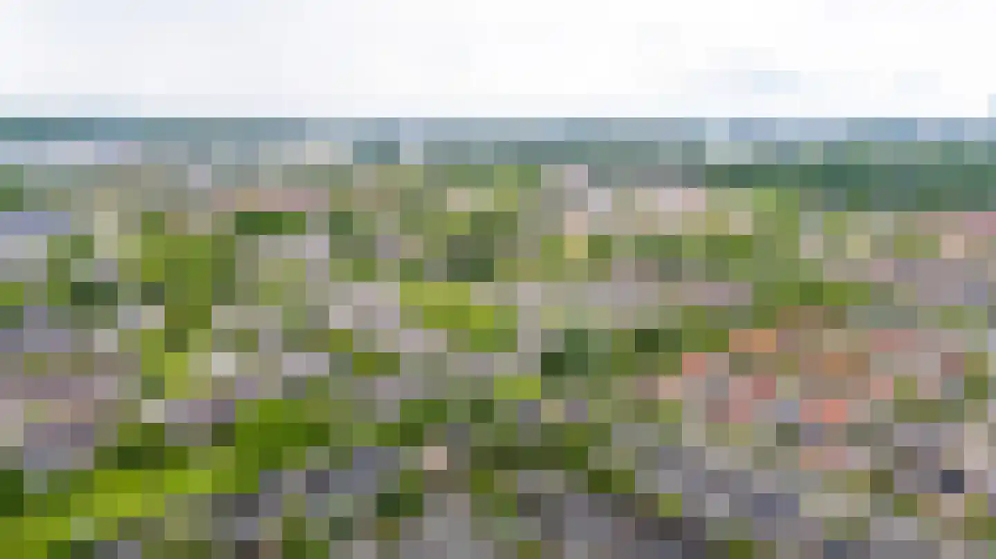 Solckamastins 12 Leeuwarden thumbnail 51