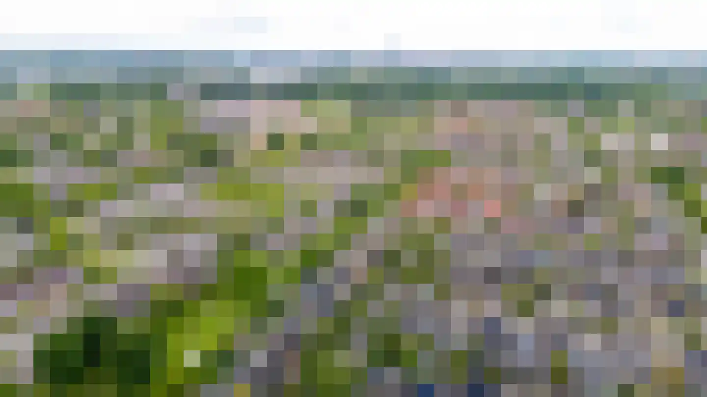 Solckamastins 12 Leeuwarden thumbnail 52