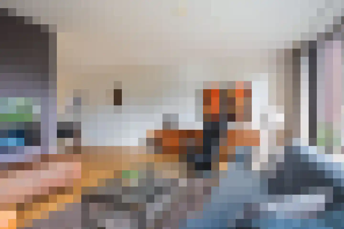 Solckamastins 12 Leeuwarden thumbnail 6
