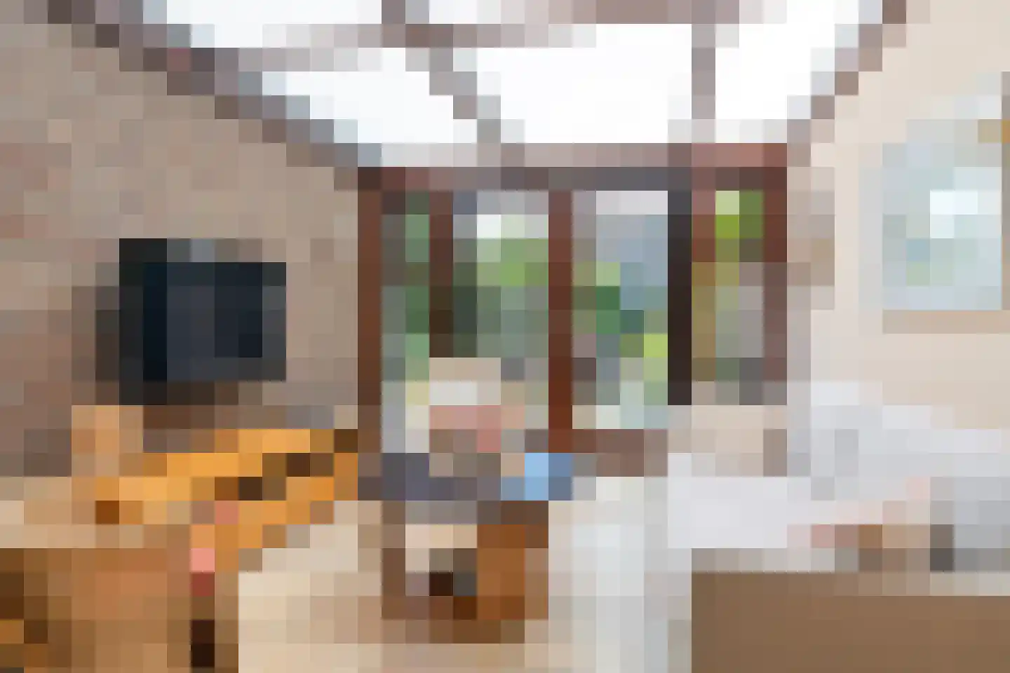 Solckamastins 12 Leeuwarden thumbnail 8