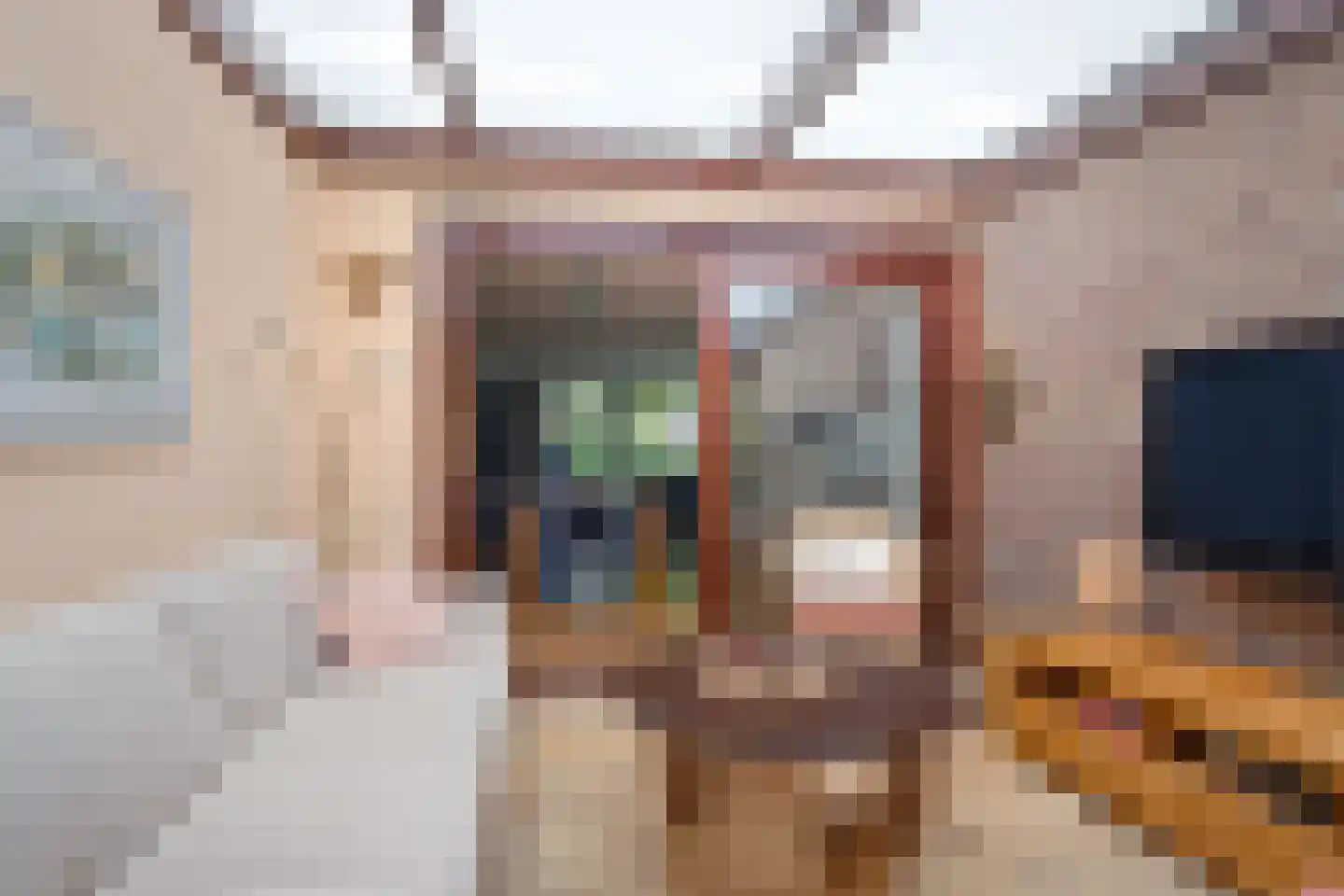 Solckamastins 12 Leeuwarden thumbnail 9