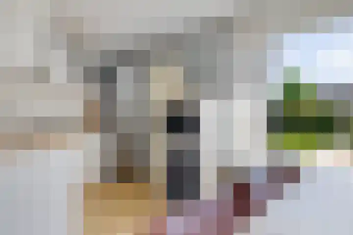 Solckamastins 24 Leeuwarden thumbnail 17