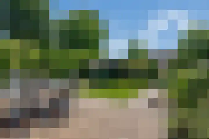 Solckamastins 24 Leeuwarden thumbnail 20