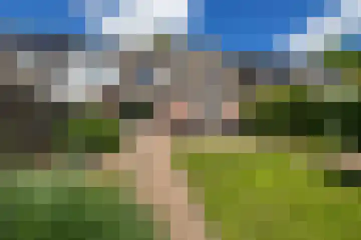 Solckamastins 24 Leeuwarden thumbnail 21