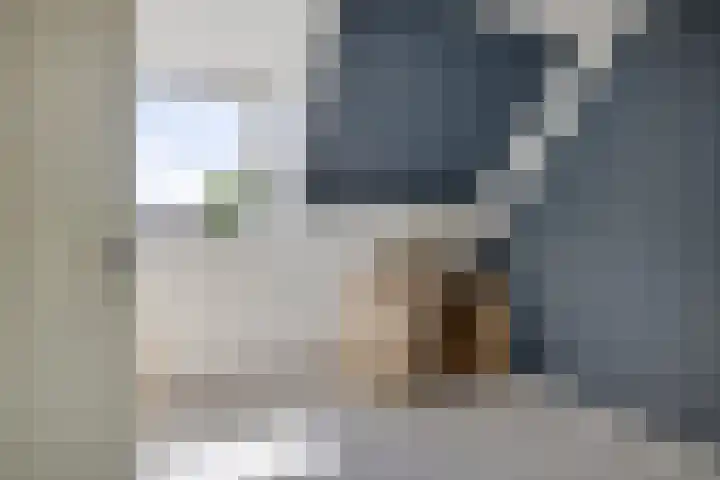 Solckamastins 24 Leeuwarden thumbnail 24
