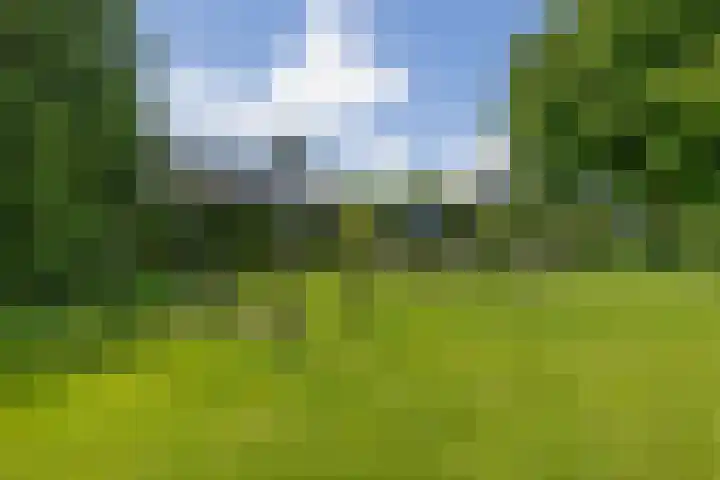 Solckamastins 24 Leeuwarden thumbnail 35