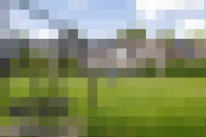 Solckamastins 24 Leeuwarden thumbnail 36
