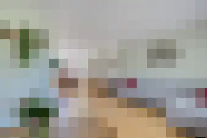 Solckamastins 24 Leeuwarden thumbnail 6