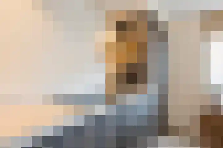 Soldaatje 23 Krommenie thumbnail 10