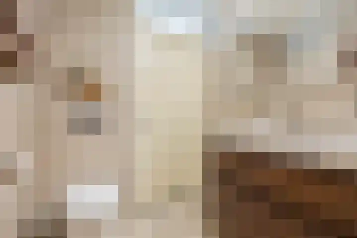 Soldaatje 23 Krommenie thumbnail 18