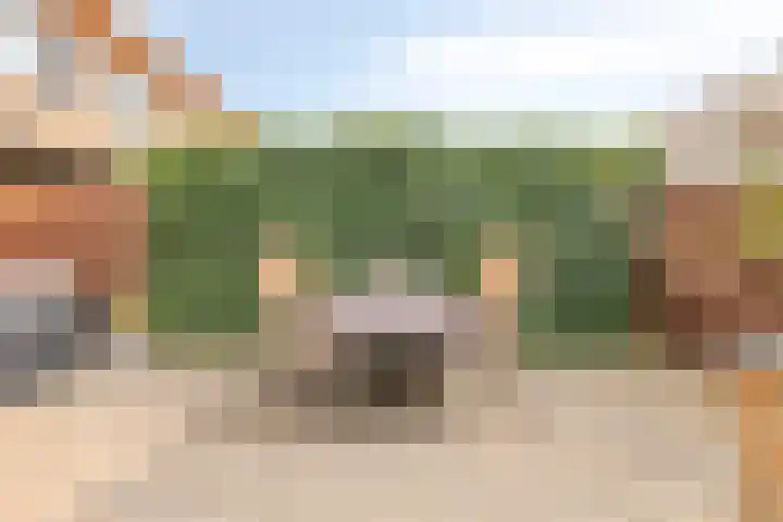 Soldaatje 23 Krommenie thumbnail 30
