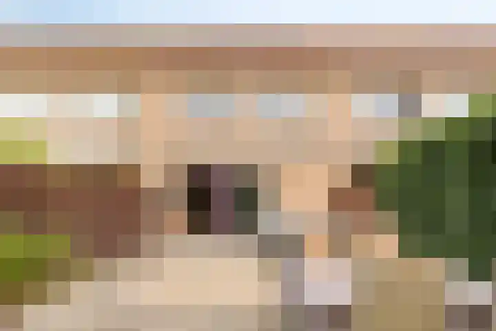 Soldaatje 23 Krommenie thumbnail 32