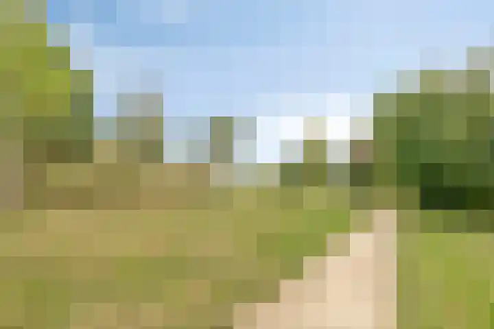 Soldaatje 23 Krommenie thumbnail 36