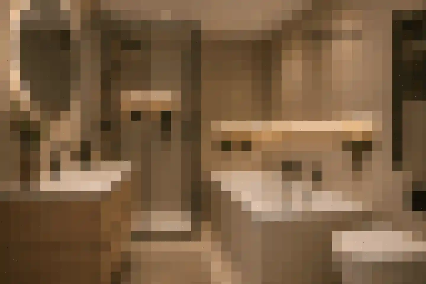 Soldaatje 27 Krommenie thumbnail 28