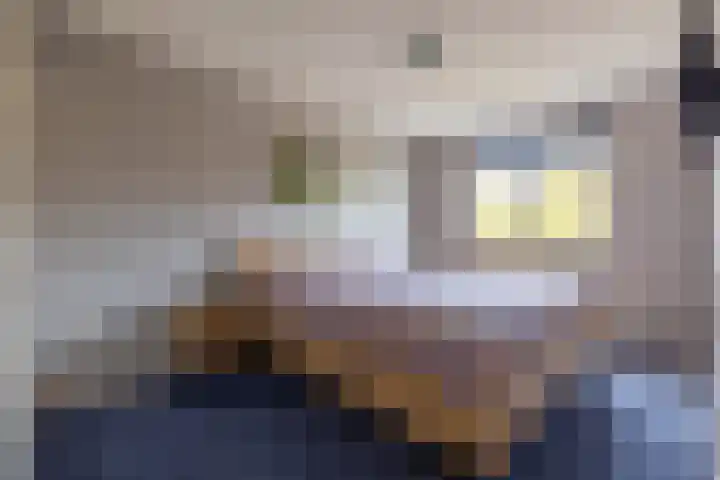 Soldatenhuis 11 Ruurlo thumbnail 13