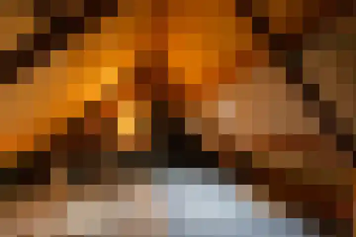 Soldeniersveld 1 Apeldoorn thumbnail 22