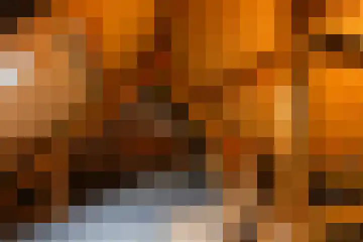 Soldeniersveld 1 Apeldoorn thumbnail 24