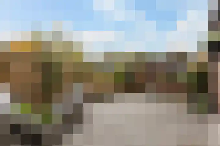 Soldeniersveld 1 Apeldoorn thumbnail 25