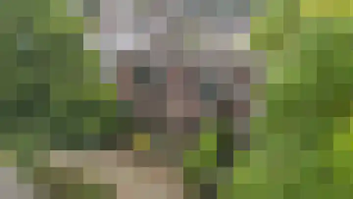 Soldeniersveld 1 Apeldoorn thumbnail 29