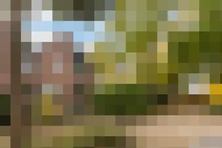 Soldeniersveld 1 Apeldoorn thumbnail 4