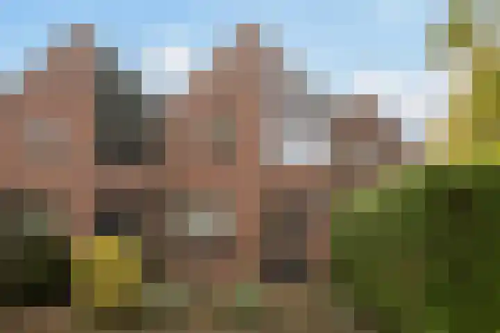 Soldeniersveld 1 Apeldoorn thumbnail 5