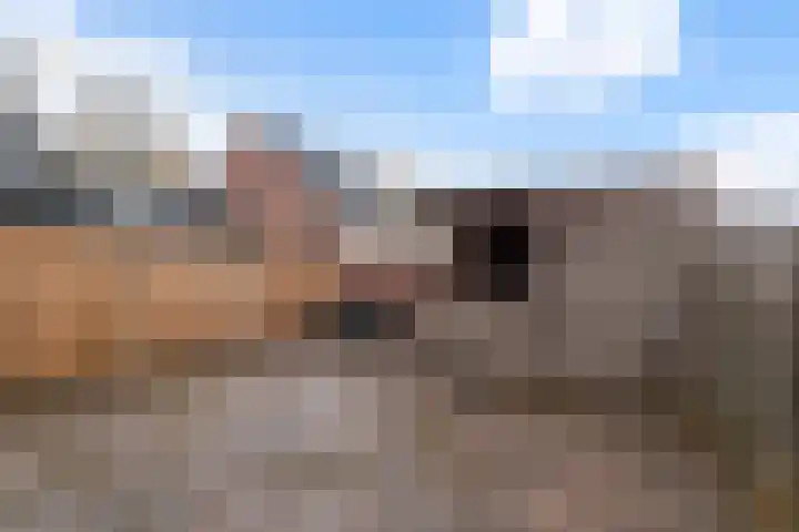 Soldeniersveld 102 Apeldoorn thumbnail 17