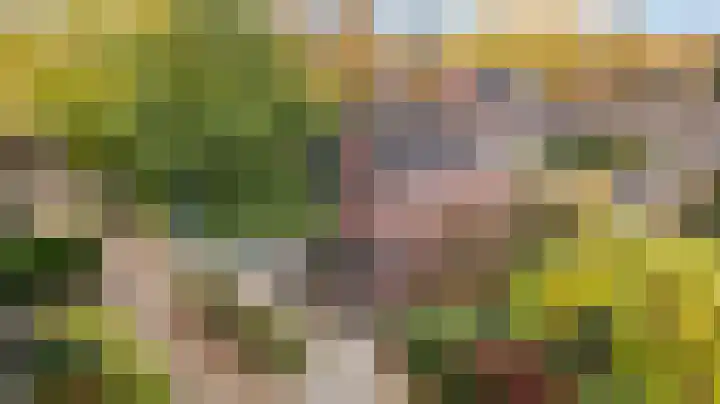 Soldeniersveld 102 Apeldoorn thumbnail 27