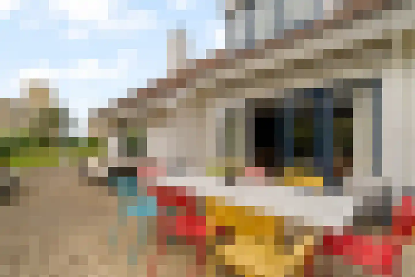 Sole Miopark 2 Noordwijk thumbnail 12