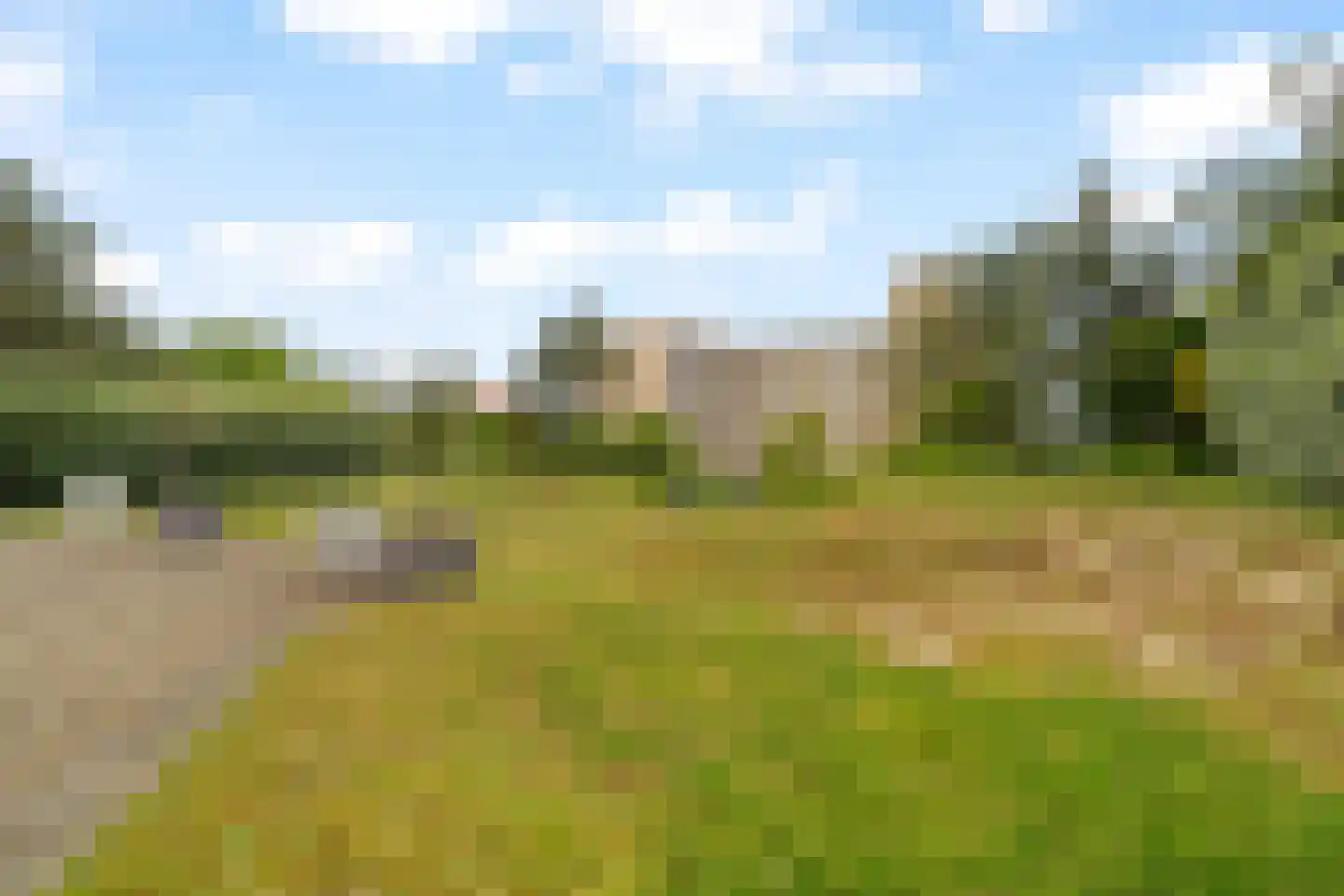 Sole Miopark 2 Noordwijk thumbnail 14