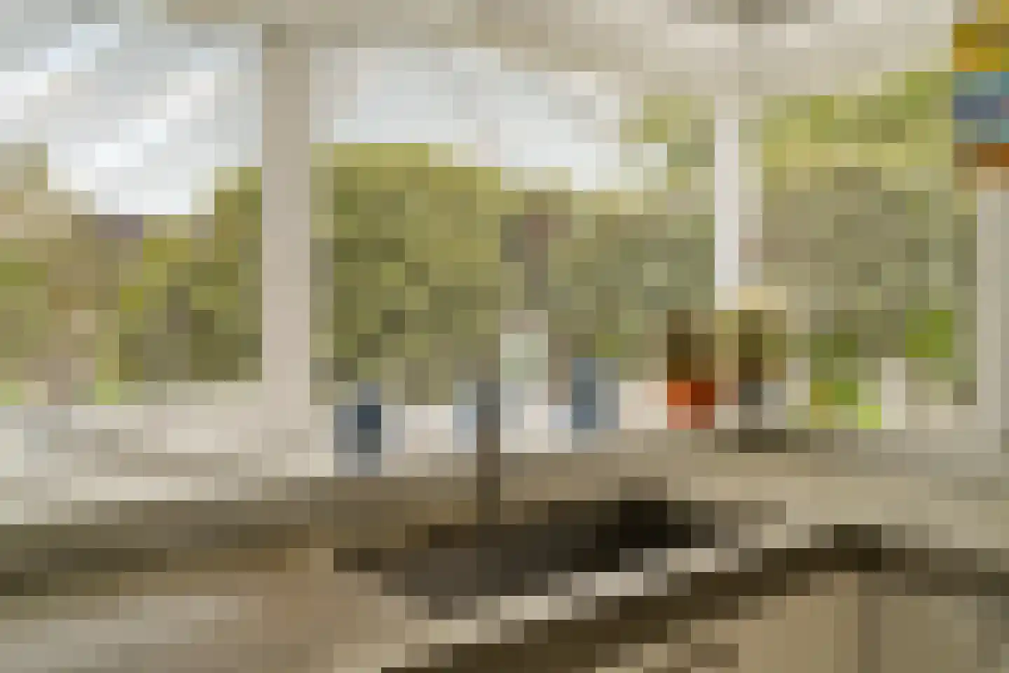 Sole Miopark 2 Noordwijk thumbnail 20