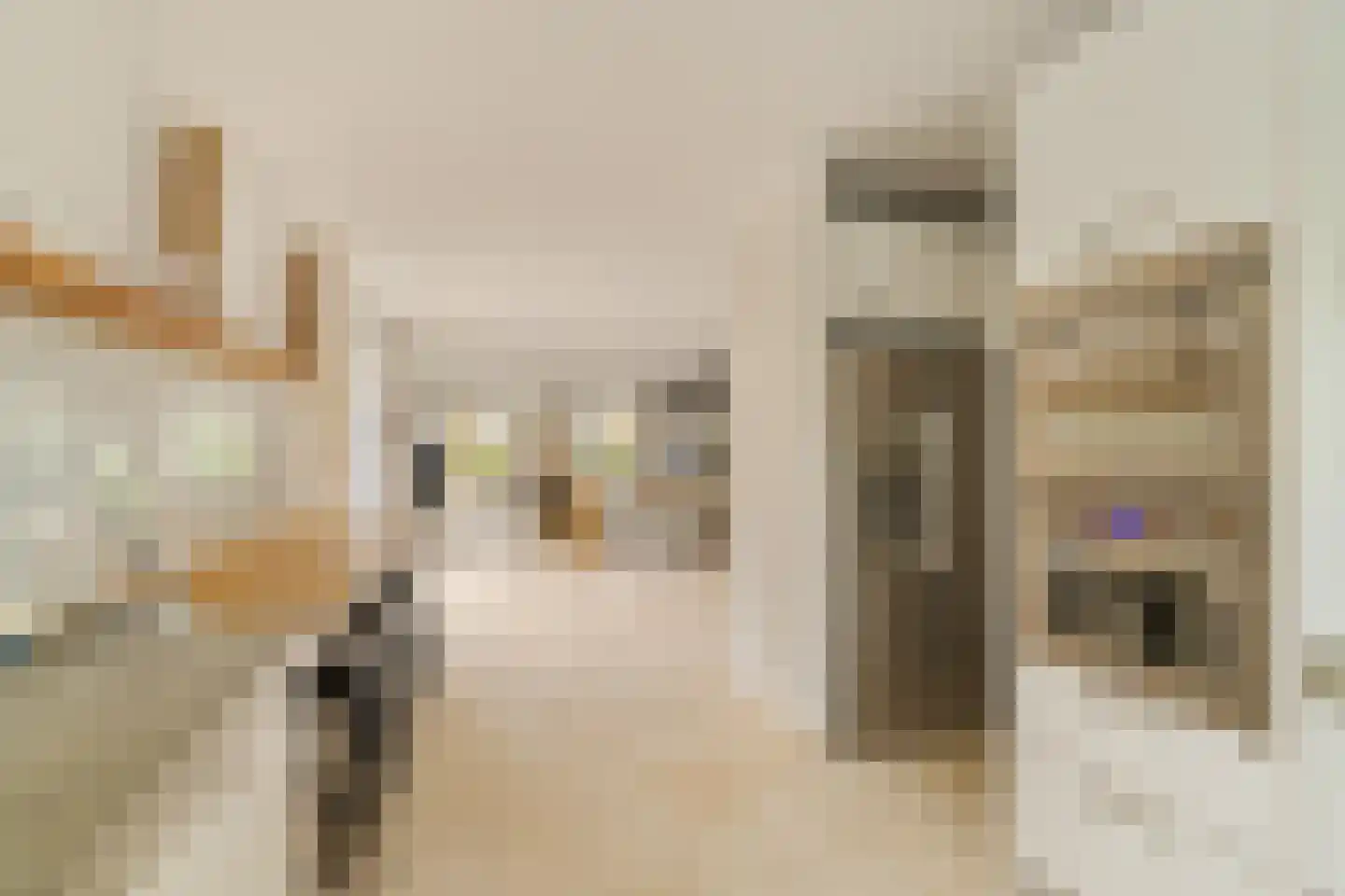 Sole Miopark 2 Noordwijk thumbnail 22