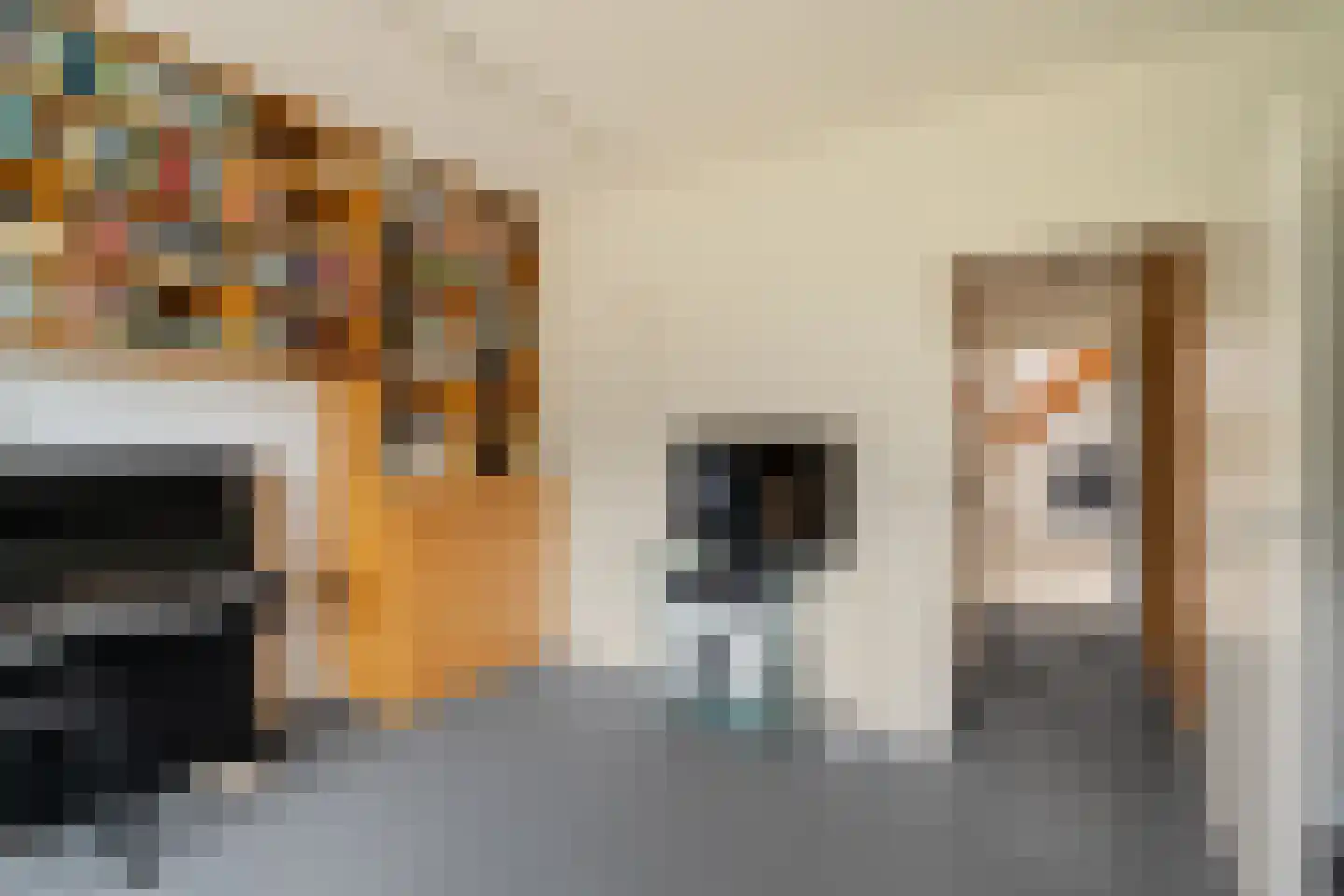 Sole Miopark 2 Noordwijk thumbnail 25
