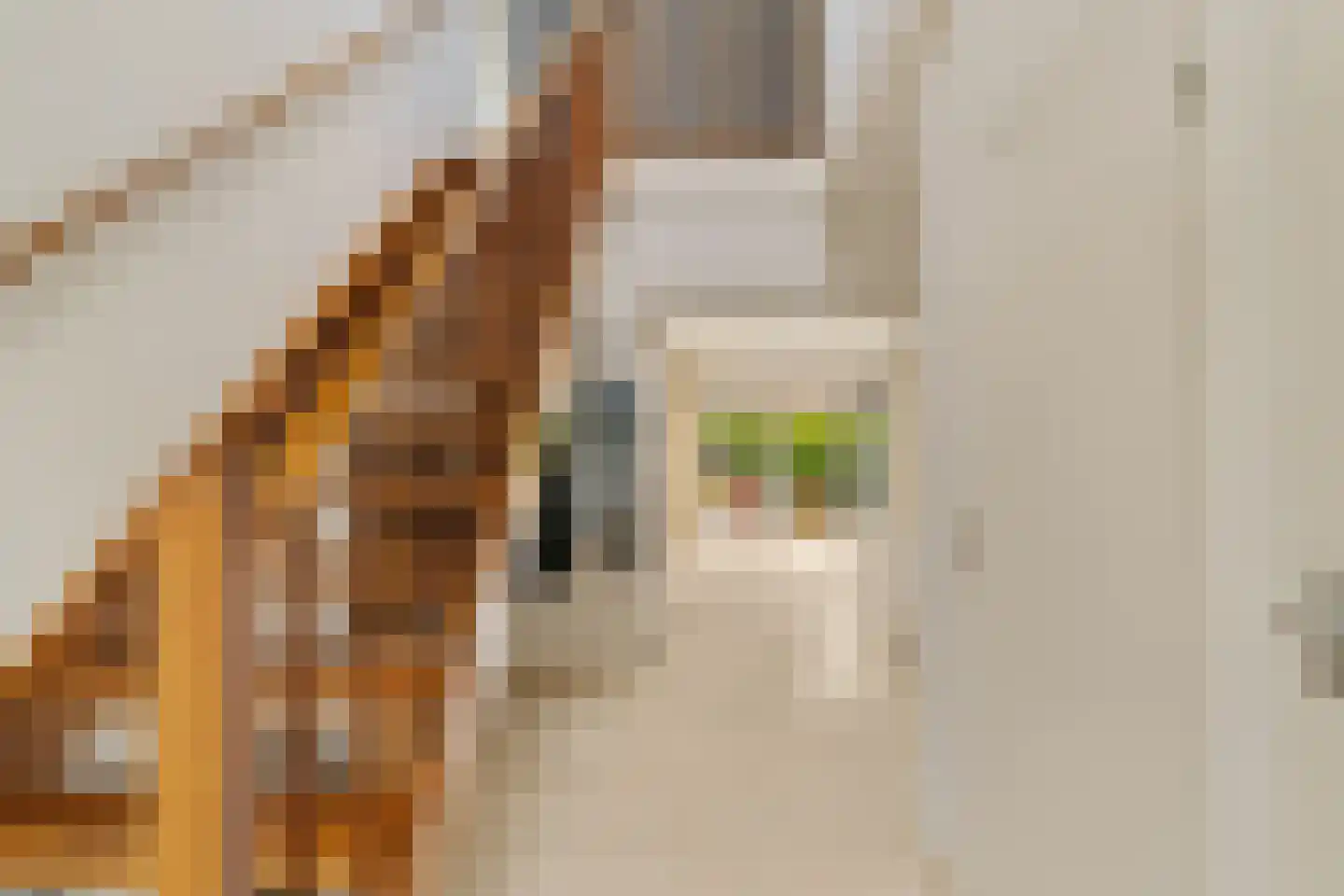 Sole Miopark 2 Noordwijk thumbnail 28