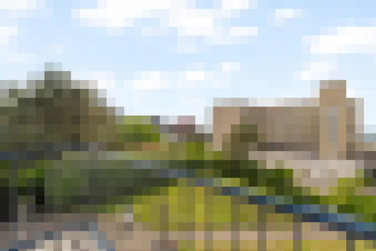 Sole Miopark 2 Noordwijk thumbnail 32