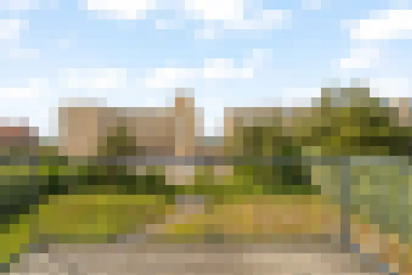 Sole Miopark 2 Noordwijk thumbnail 34
