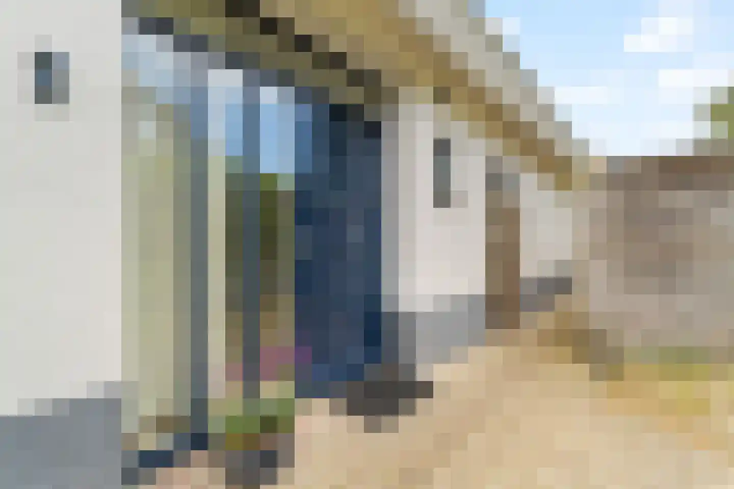Sole Miopark 2 Noordwijk thumbnail 4