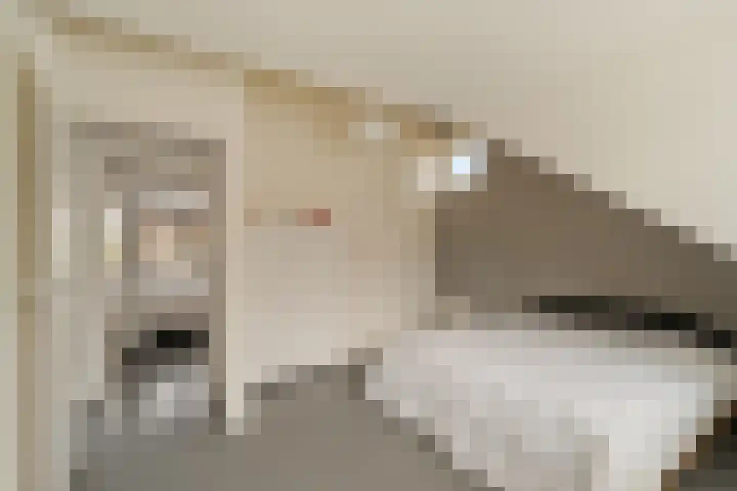 Sole Miopark 2 Noordwijk thumbnail 40