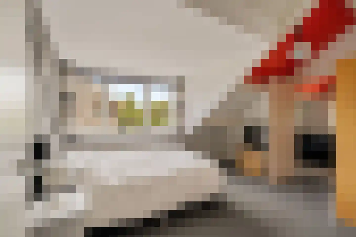 Sole Miopark 2 Noordwijk thumbnail 41
