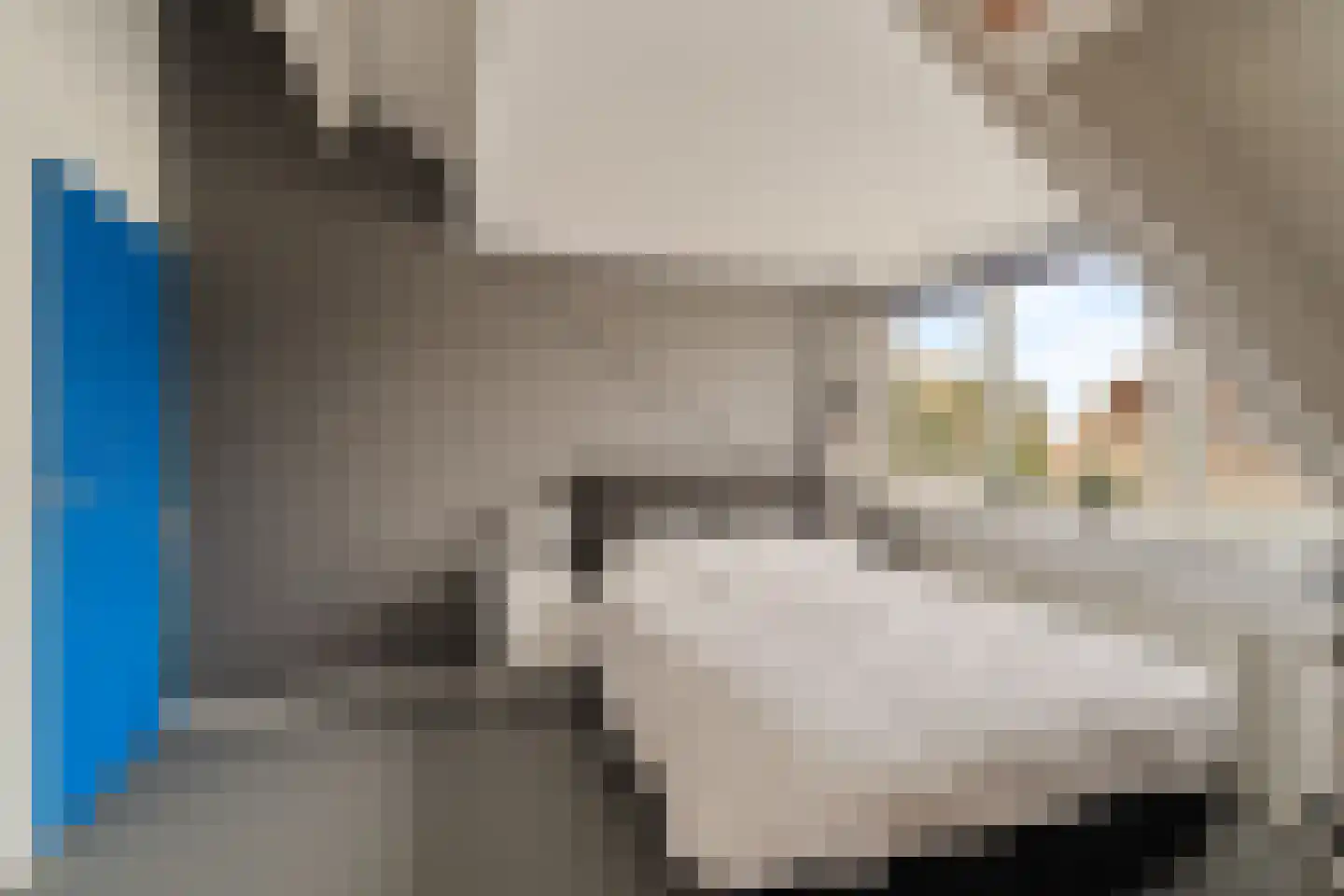 Sole Miopark 2 Noordwijk thumbnail 42