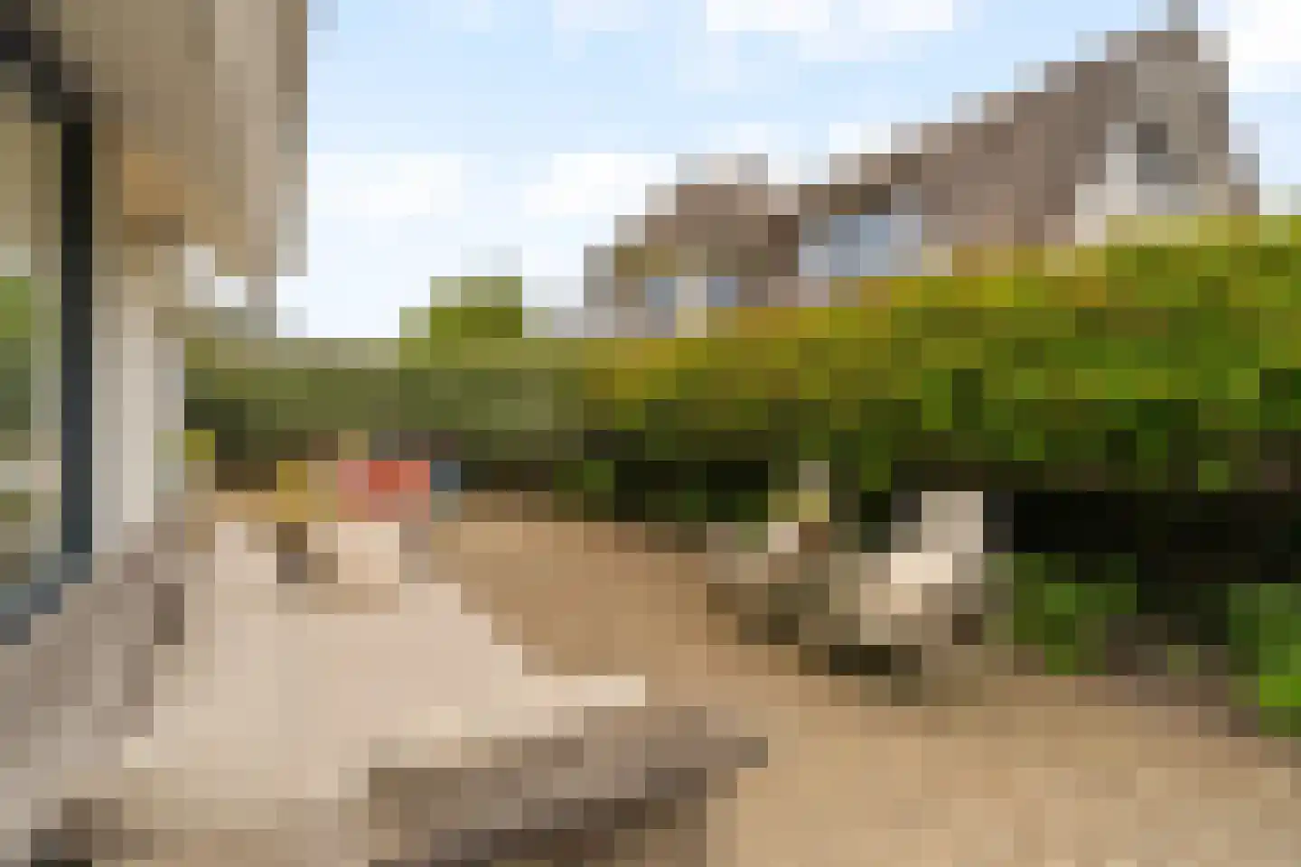 Sole Miopark 2 Noordwijk thumbnail 45