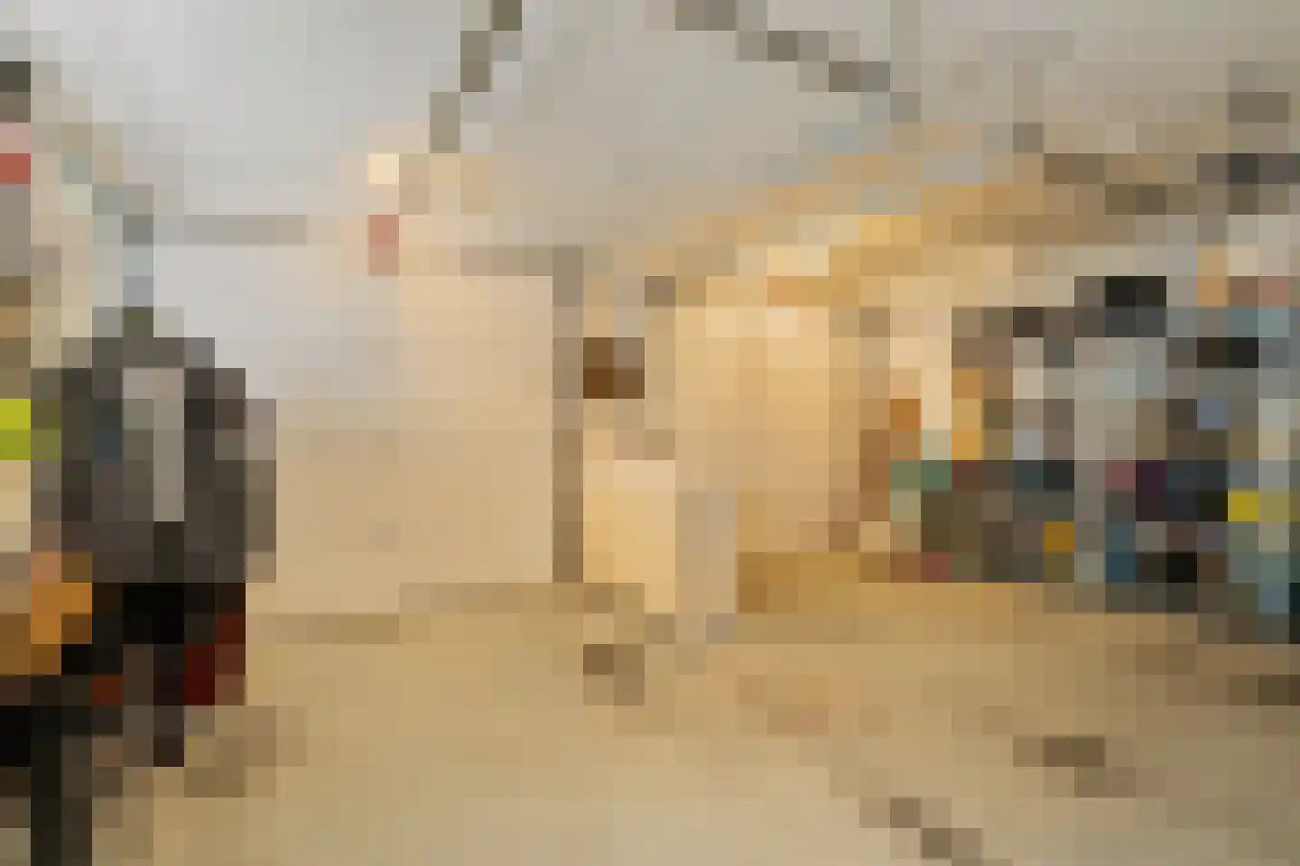 Sole Miopark 2 Noordwijk thumbnail 47