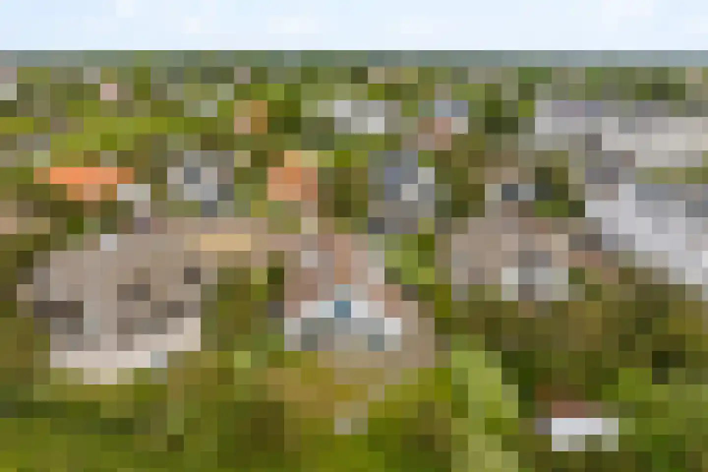 Sole Miopark 2 Noordwijk thumbnail 50