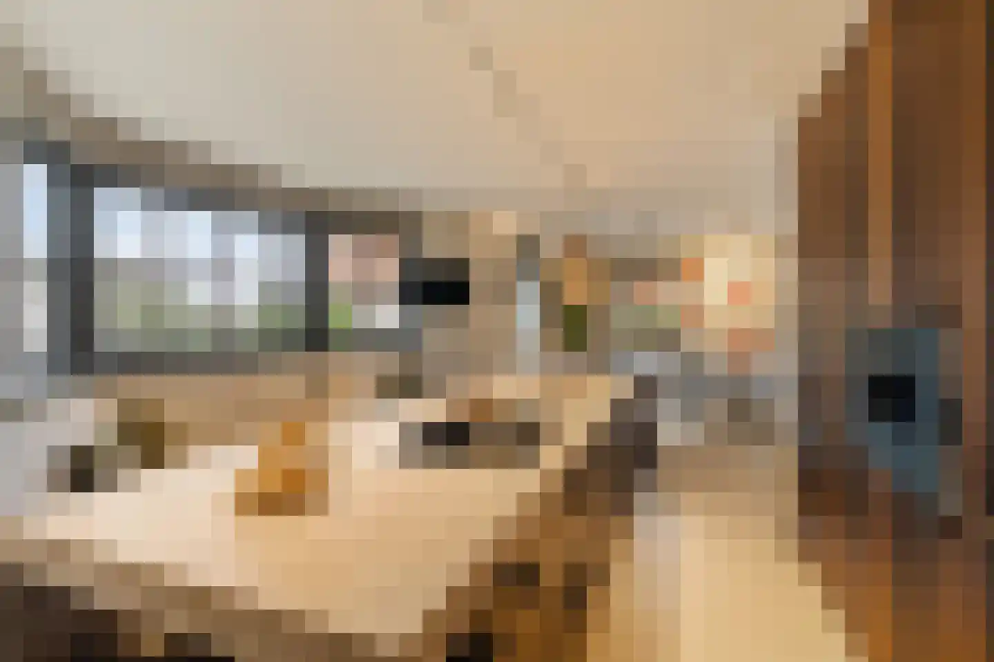 Sole Miopark 3 Noordwijk thumbnail 17