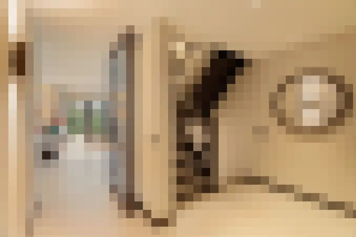 Sole Miopark 3 Noordwijk thumbnail 21