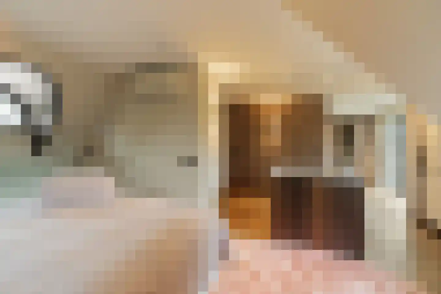 Sole Miopark 3 Noordwijk thumbnail 23