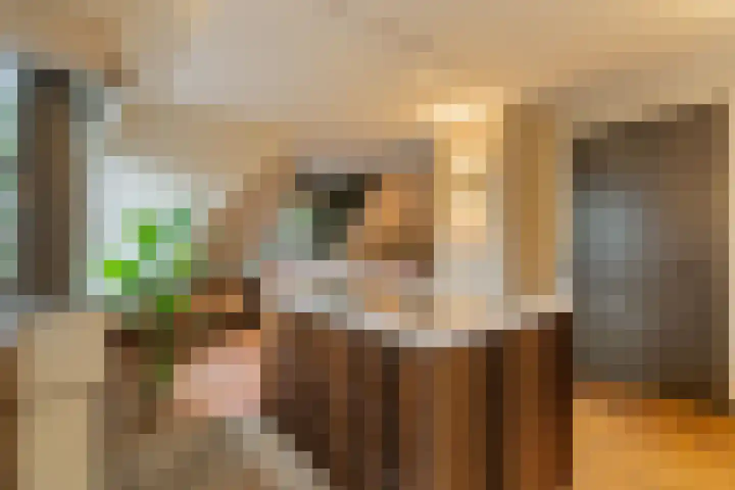 Sole Miopark 3 Noordwijk thumbnail 24