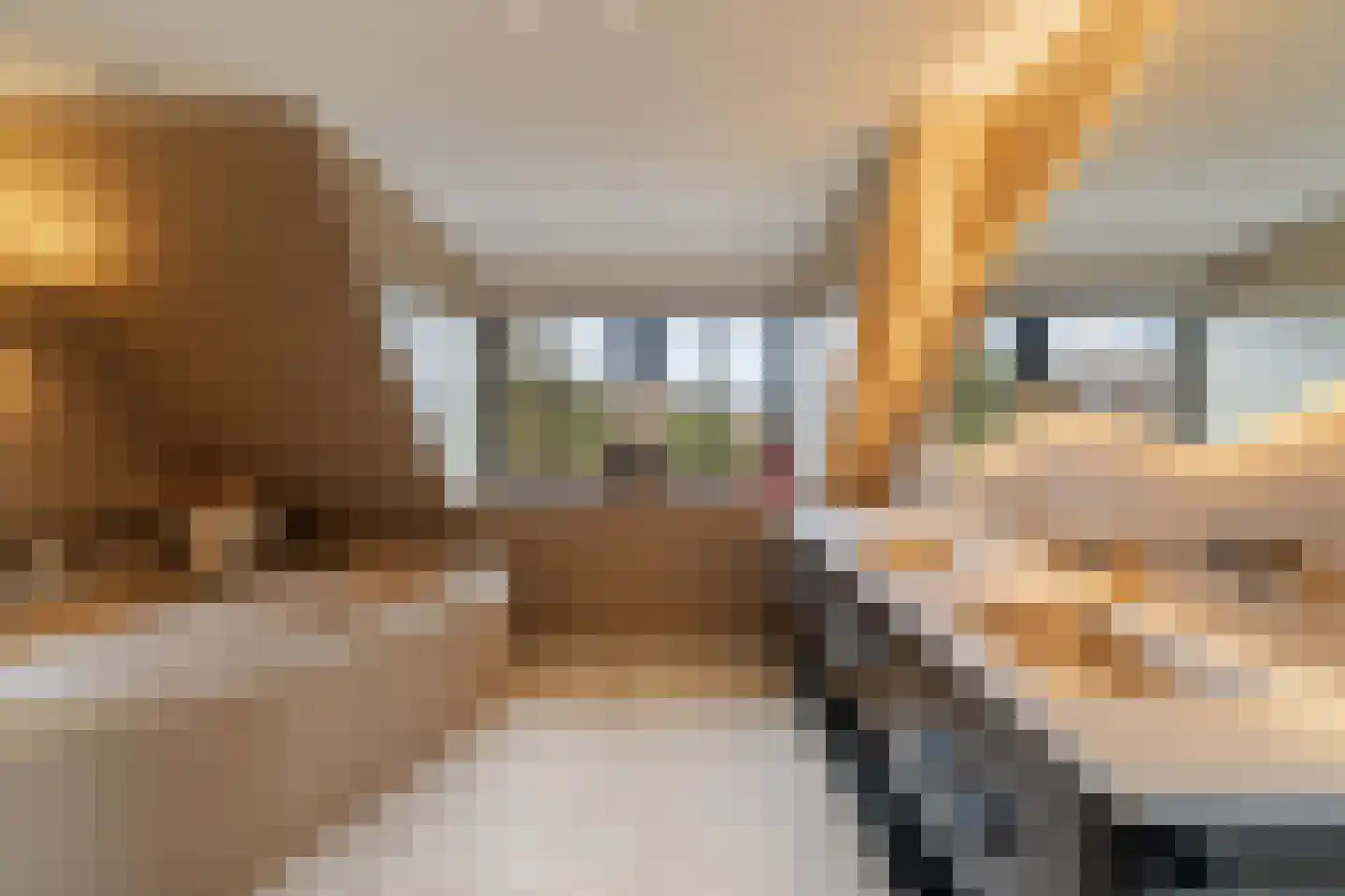 Sole Miopark 3 Noordwijk thumbnail 28